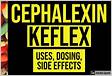﻿Cephalexin cephalexin dose, indications, adverse effect